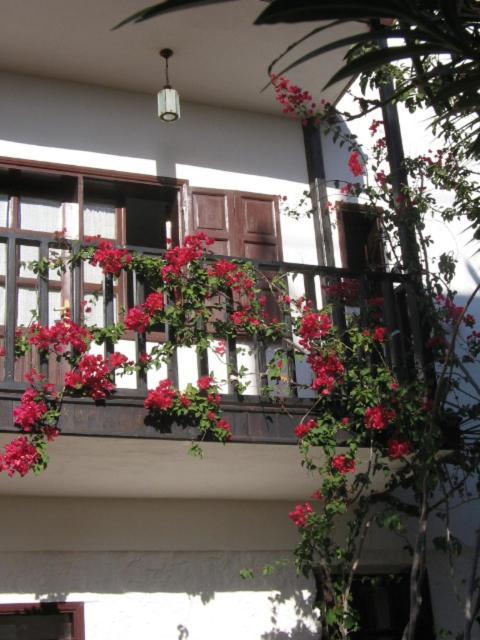 Kalkan Turk Evi المظهر الخارجي الصورة